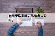 IM电竞中国电子竞技平台-刘翔受伤离场，伤情尚未公布。